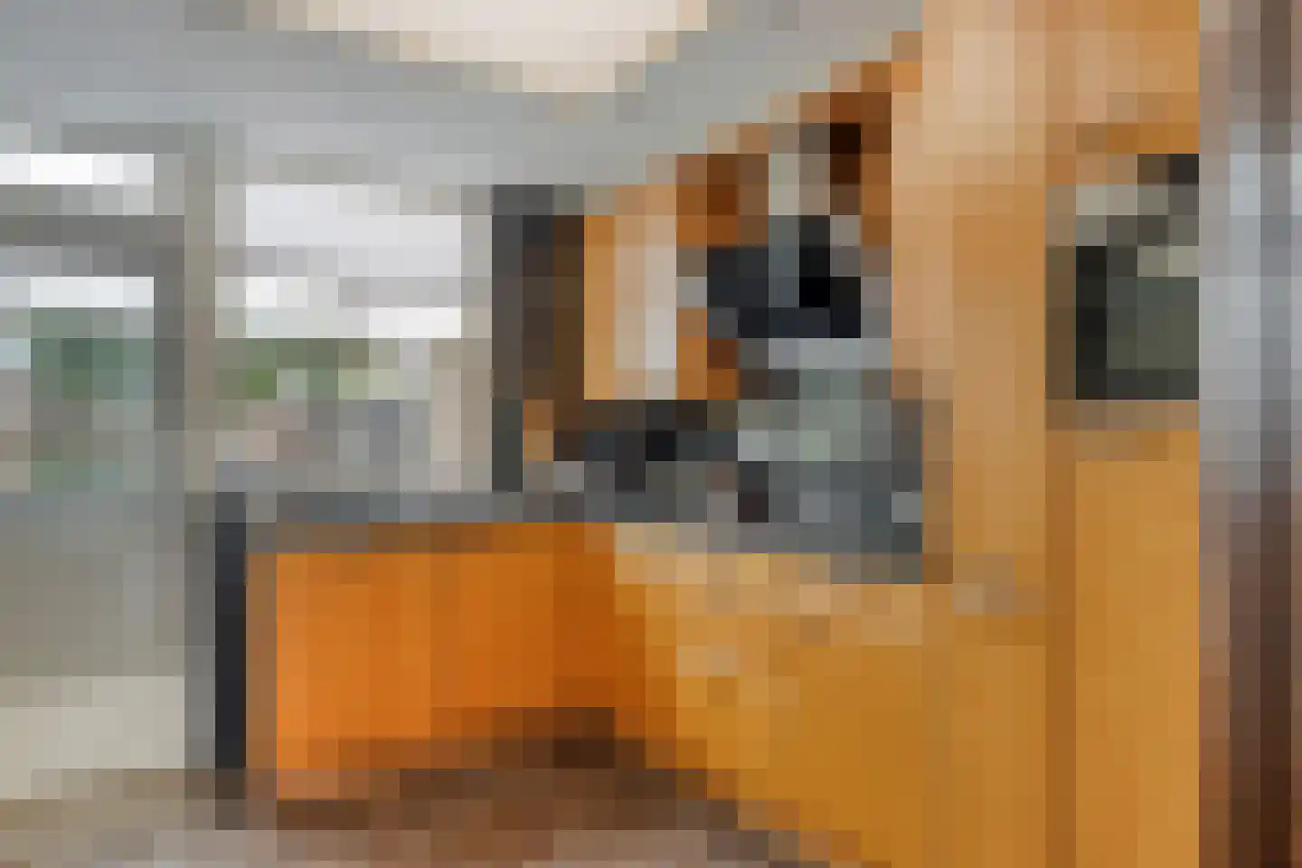 Akert 128 Geldrop thumbnail 11
