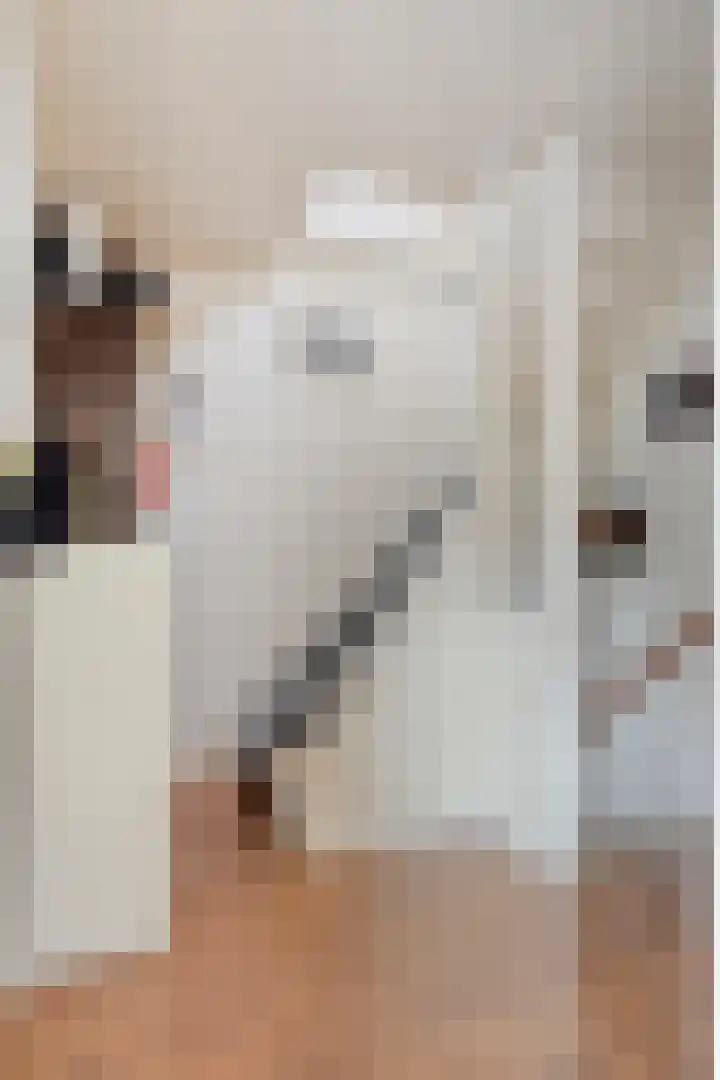 Akert 128 Geldrop thumbnail 14