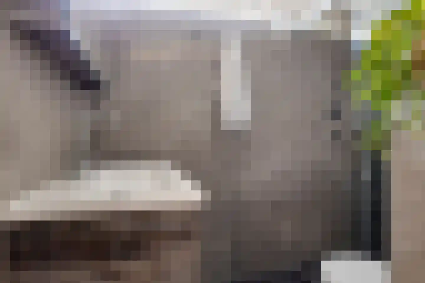 Akert 128 Geldrop thumbnail 20