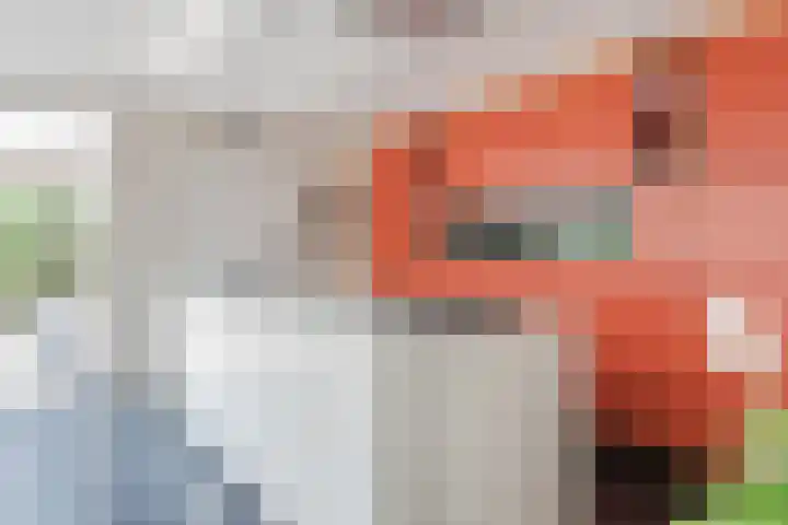 Akert 134 Geldrop thumbnail 13