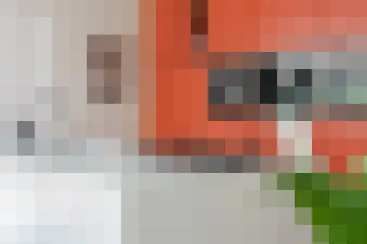 Akert 134 Geldrop thumbnail 15