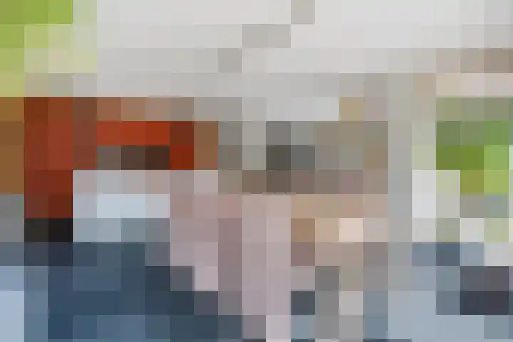 Akert 134 Geldrop thumbnail 17