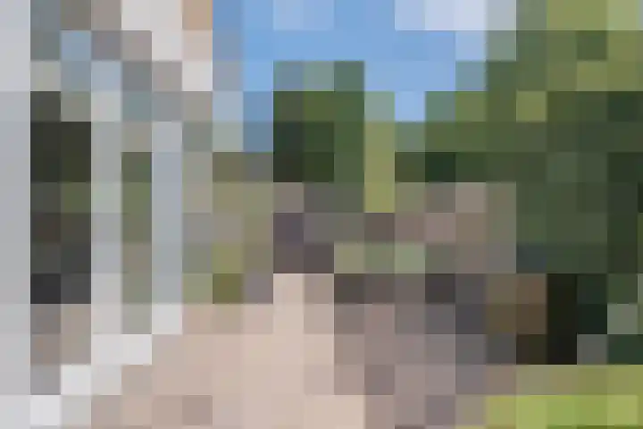 Akert 134 Geldrop thumbnail 35