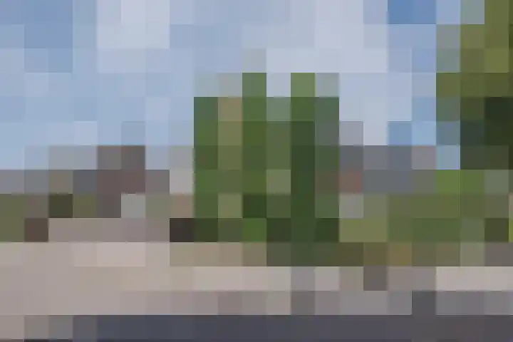Akert 134 Geldrop thumbnail 38