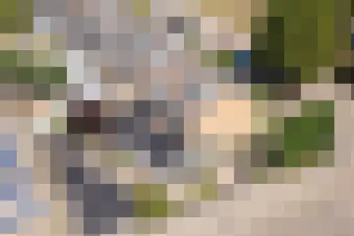 Akert 134 Geldrop thumbnail 42