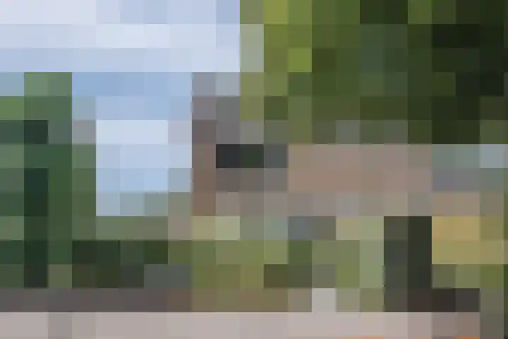 Akert 134 Geldrop thumbnail 43