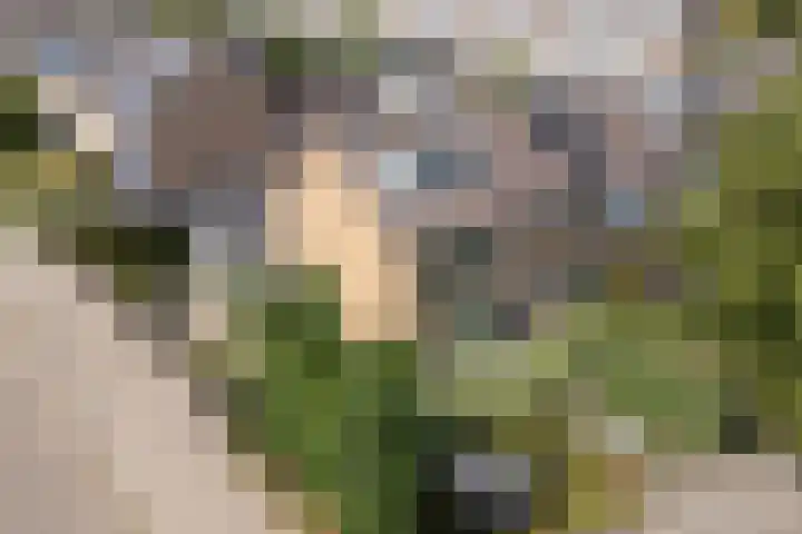 Akert 134 Geldrop thumbnail 49