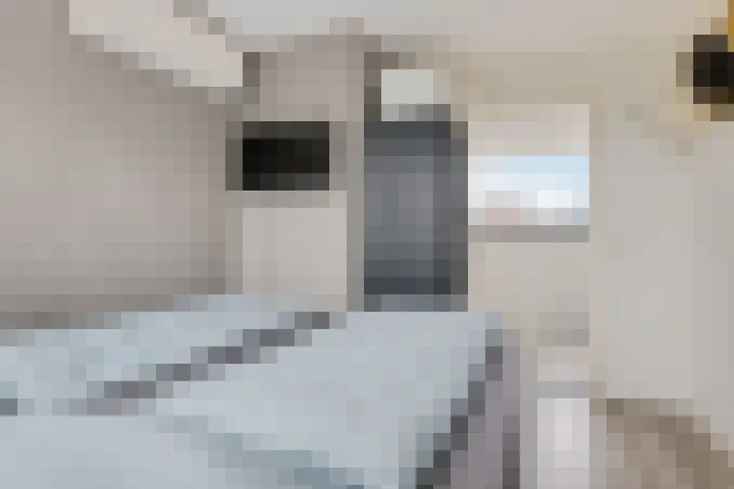 Akervoorderlaan 4 Lisse thumbnail 29