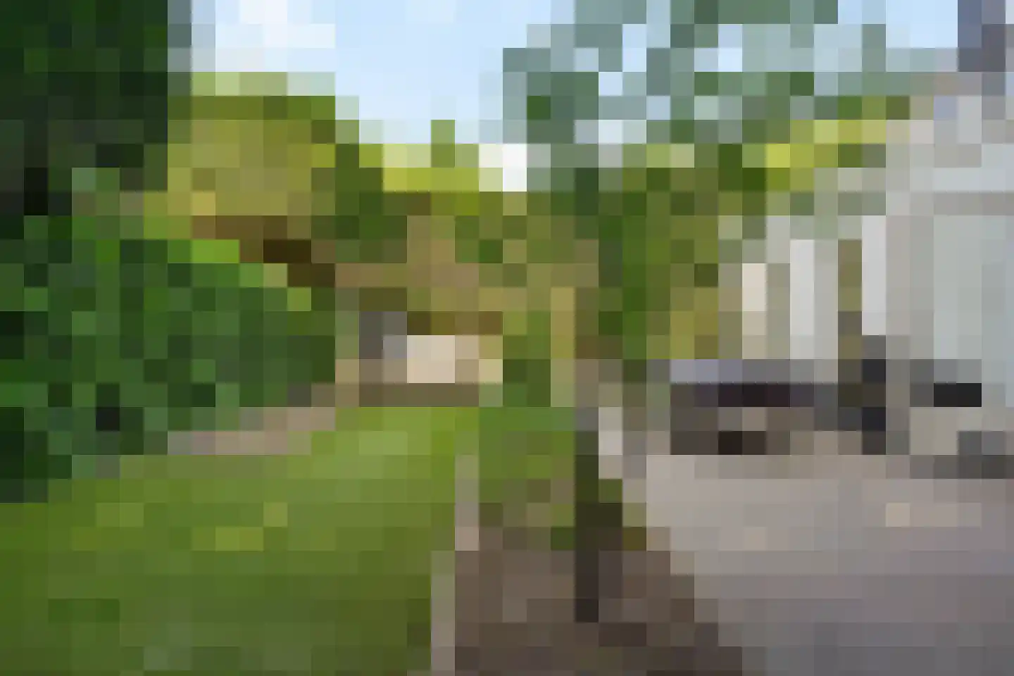 Akervoorderlaan 4 Lisse thumbnail 35
