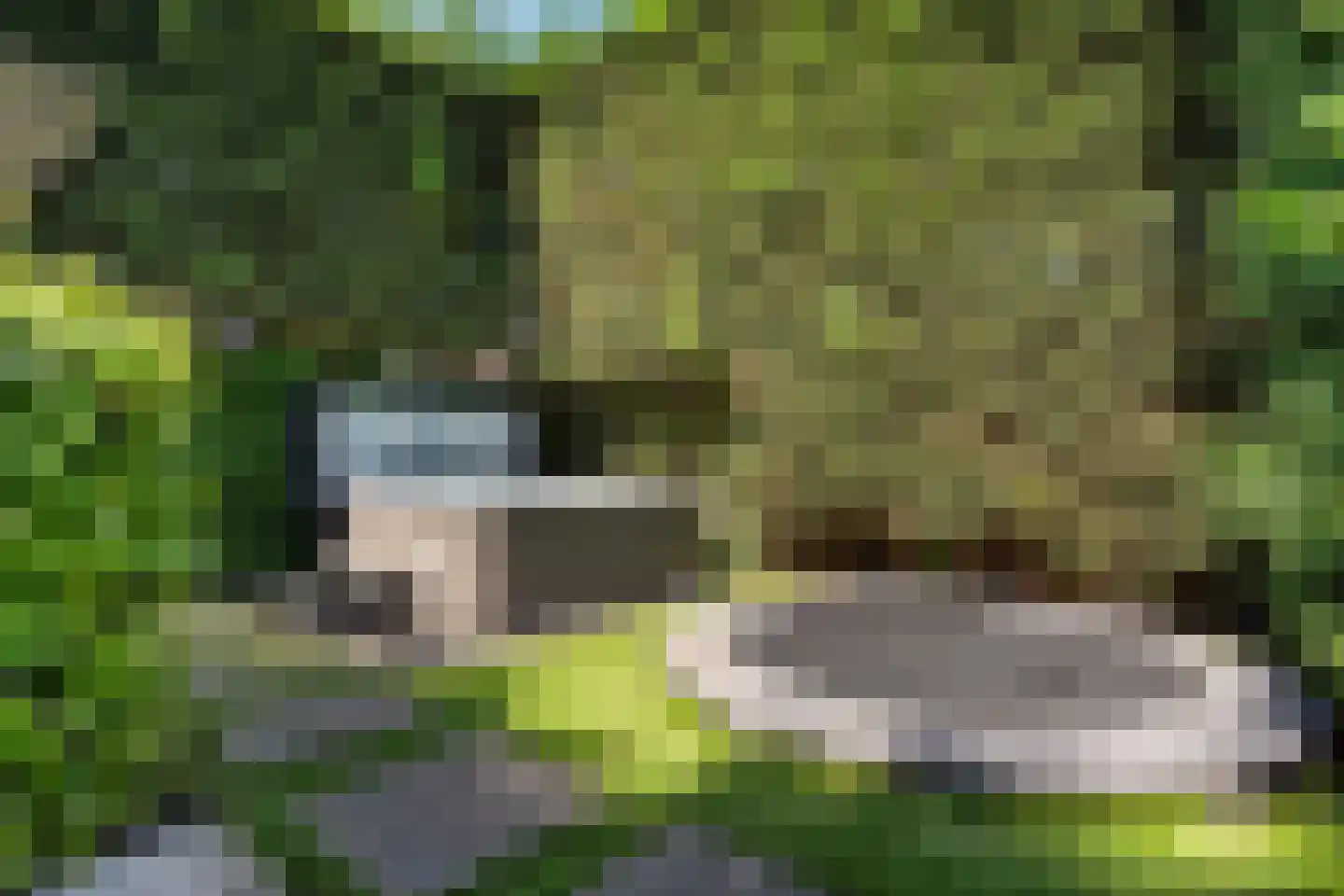 Akervoorderlaan 4 Lisse thumbnail 36