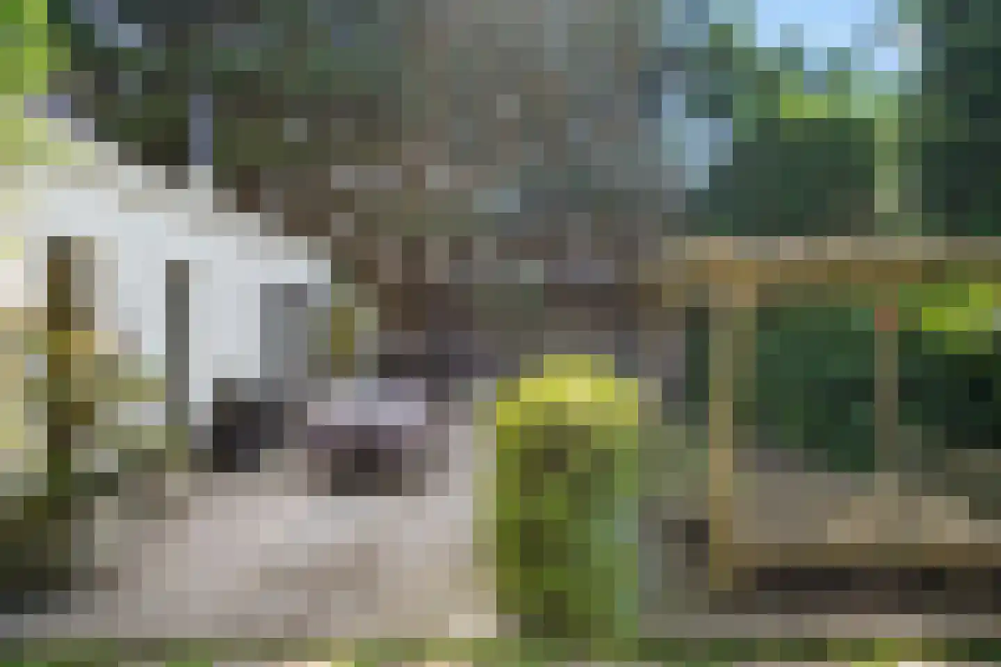 Akervoorderlaan 4 Lisse thumbnail 41