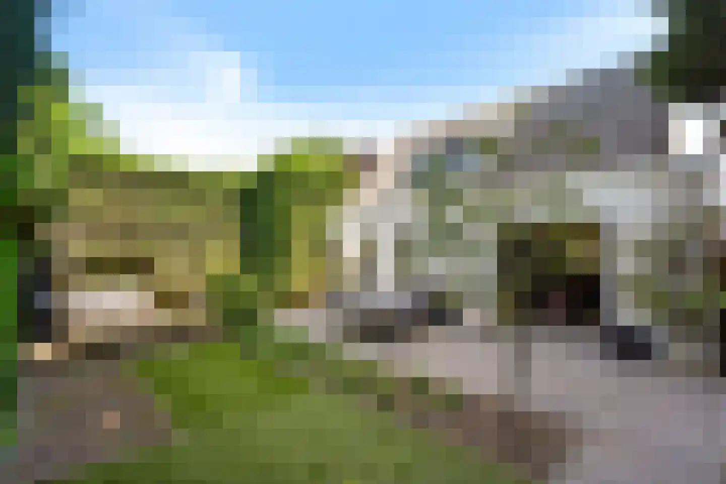 Akervoorderlaan 4 Lisse thumbnail 45