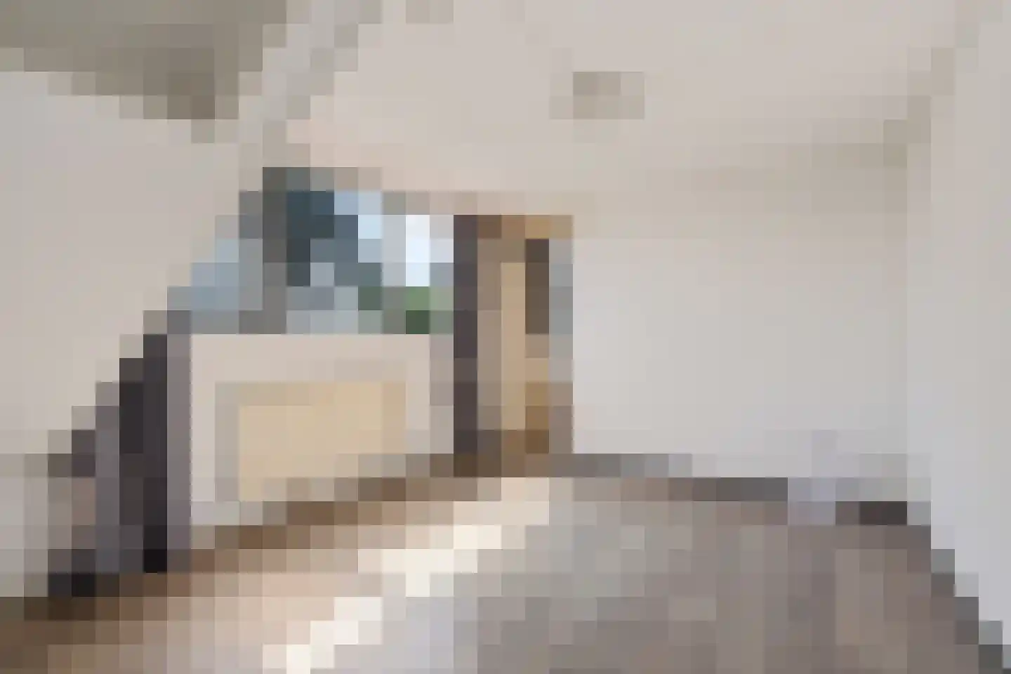 Akervoorderlaan 4 Lisse thumbnail 56