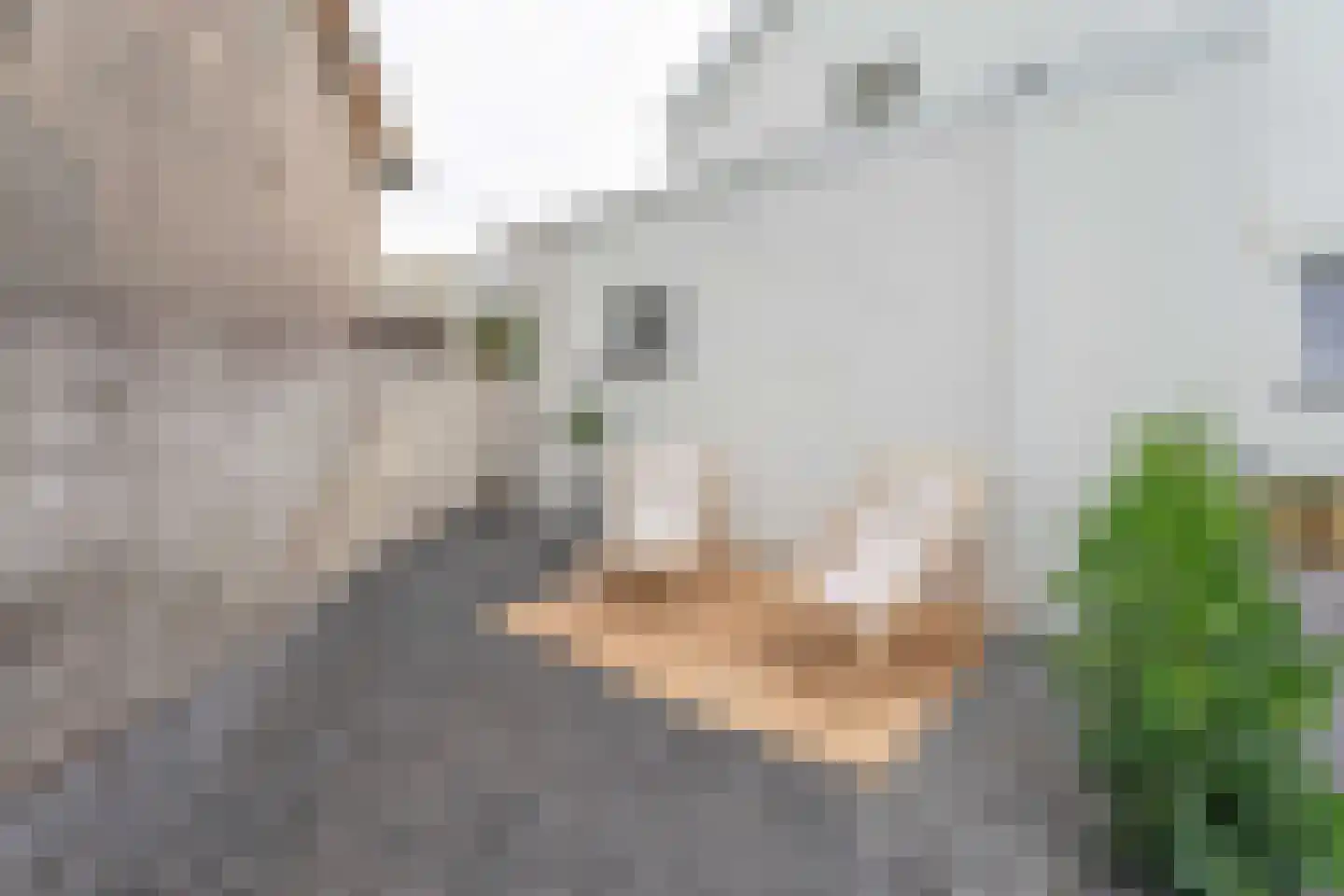 Akervoorderlaan 43 Lisse thumbnail 31