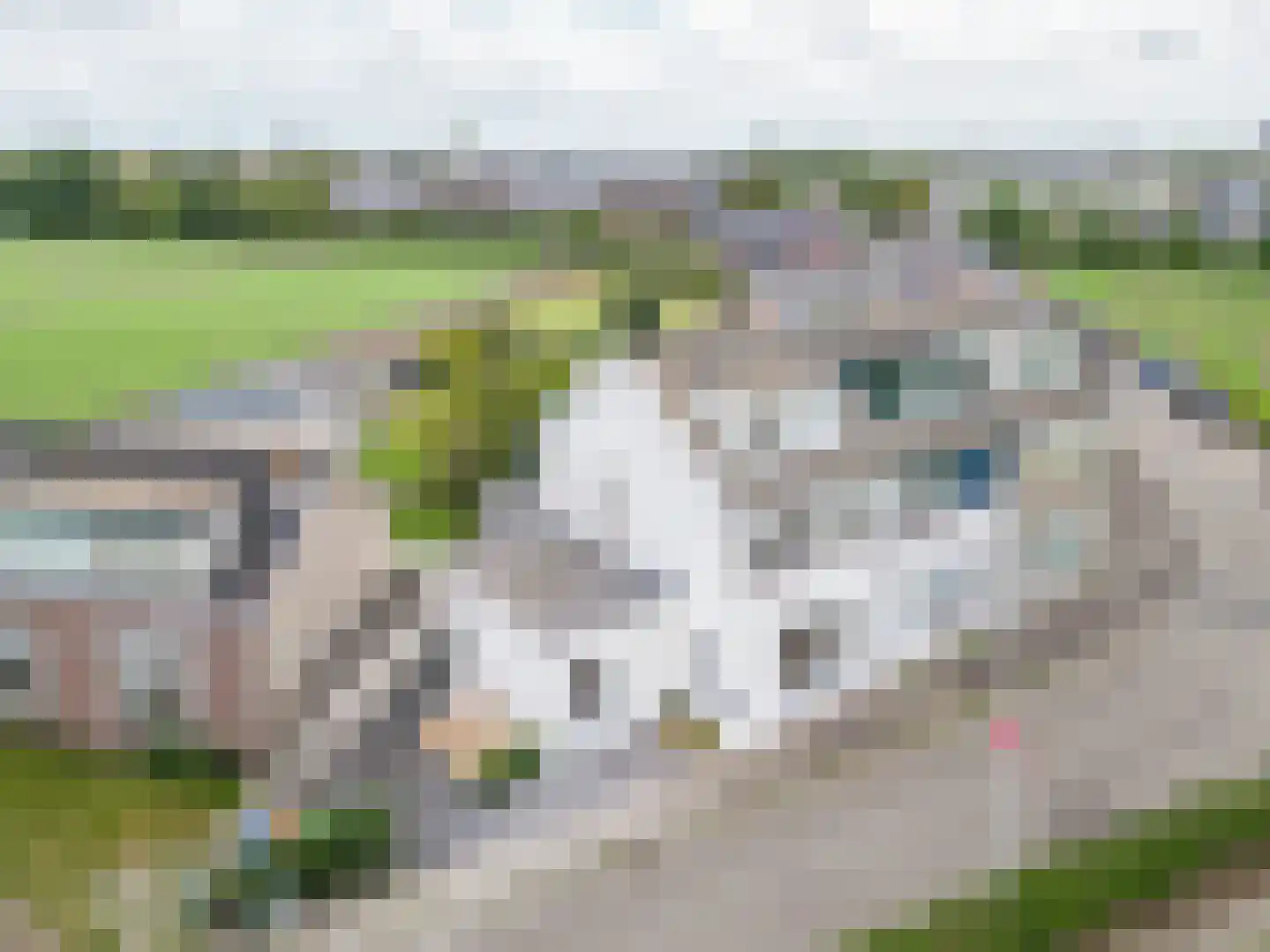 Akervoorderlaan 43 Lisse thumbnail 33
