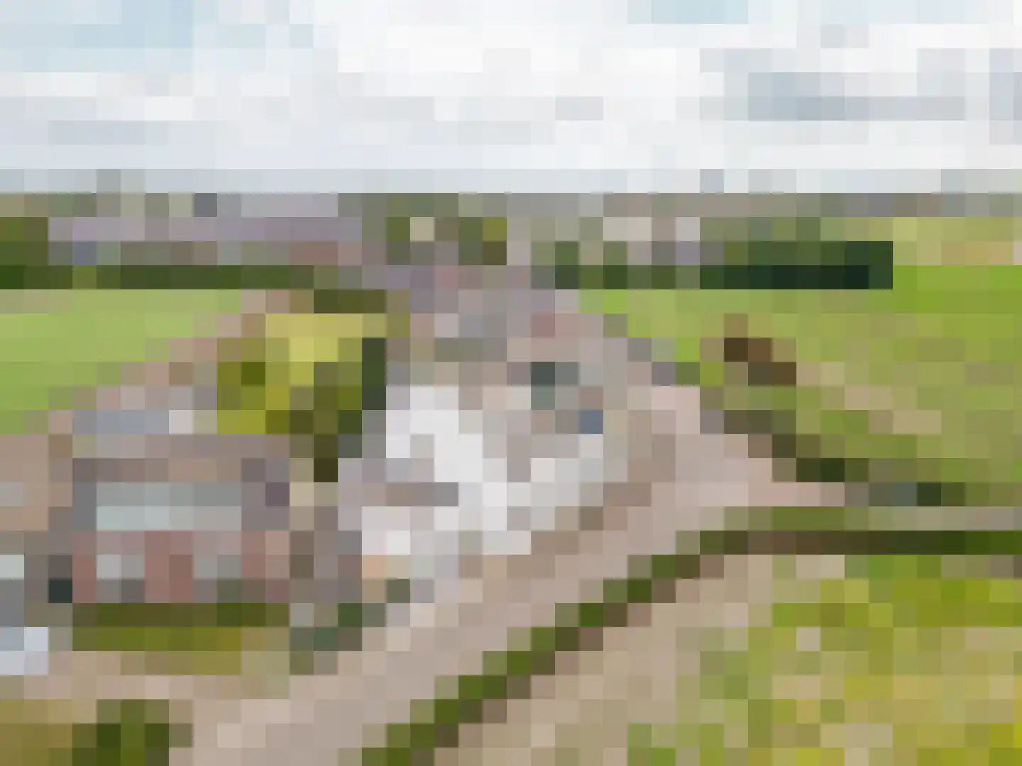 Akervoorderlaan 43 Lisse thumbnail 35