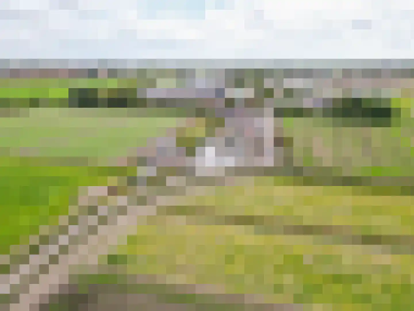 Akervoorderlaan 43 Lisse thumbnail 38
