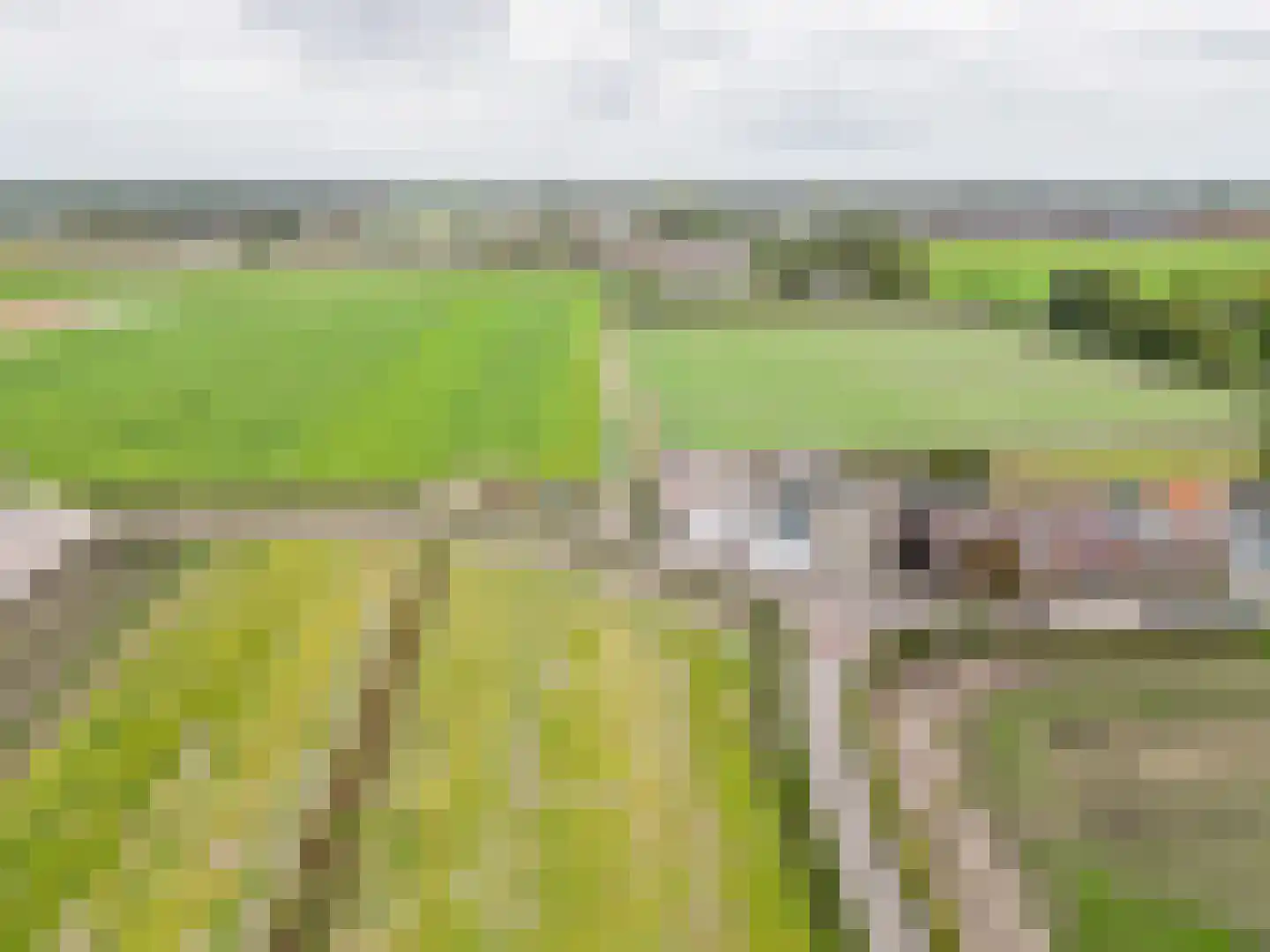 Akervoorderlaan 43 Lisse thumbnail 39