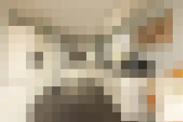 Akervoorderlaan 67 Voorhout thumbnail 11