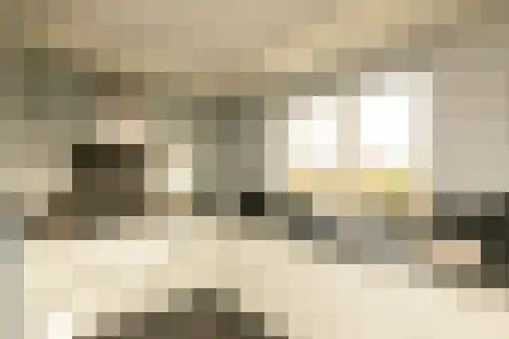 Akervoorderlaan 67 Voorhout thumbnail 12