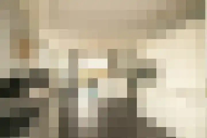 Akervoorderlaan 67 Voorhout thumbnail 13