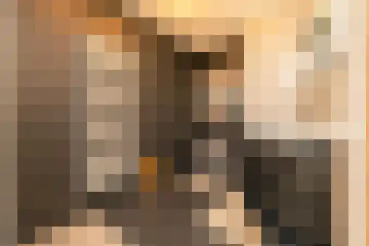 Akervoorderlaan 67 Voorhout thumbnail 20