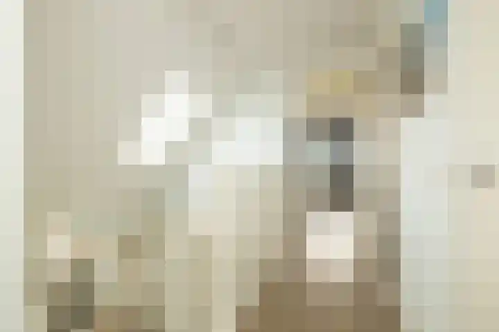 Akervoorderlaan 67 Voorhout thumbnail 22