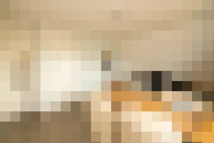 Akervoorderlaan 67 Voorhout thumbnail 24