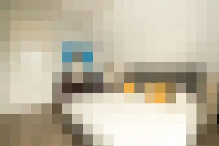 Akervoorderlaan 67 Voorhout thumbnail 27
