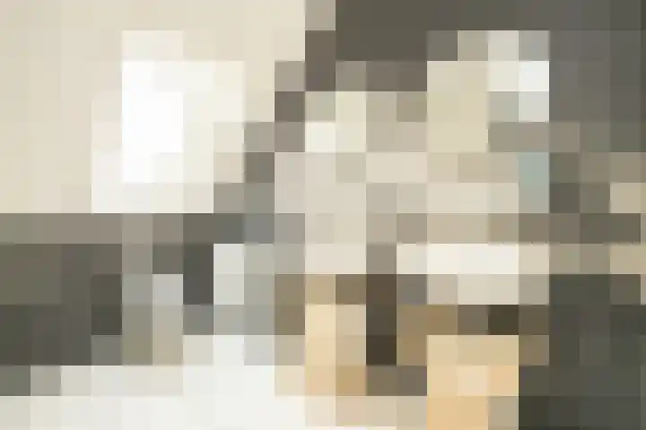 Akervoorderlaan 67 Voorhout thumbnail 32