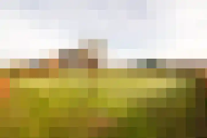 Akervoorderlaan 67 Voorhout thumbnail 34