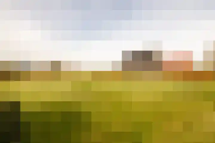 Akervoorderlaan 67 Voorhout thumbnail 35
