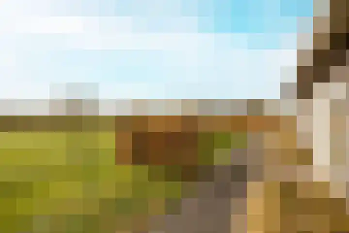Akervoorderlaan 67 Voorhout thumbnail 36