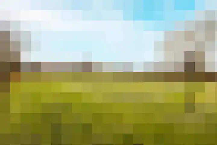 Akervoorderlaan 67 Voorhout thumbnail 37