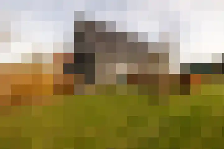 Akervoorderlaan 67 Voorhout thumbnail 38