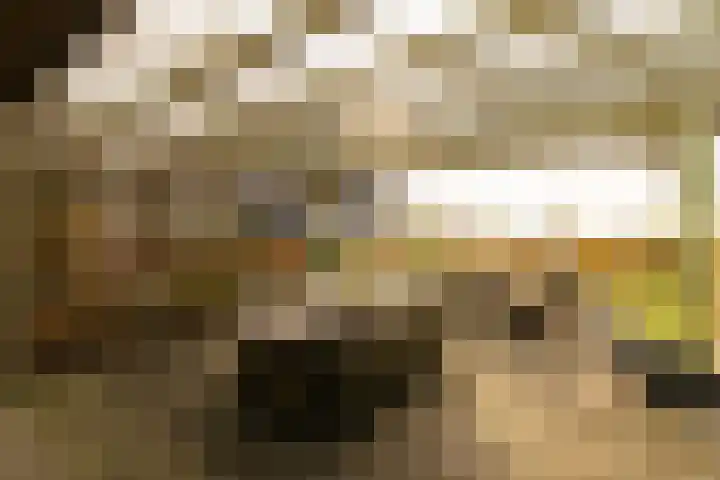 Akervoorderlaan 67 Voorhout thumbnail 42