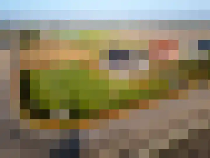 Akervoorderlaan 67 Voorhout thumbnail 53