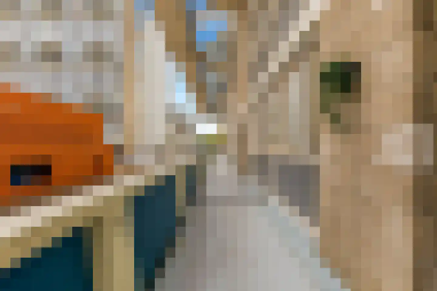 Akerwateringstraat 85 Amsterdam thumbnail 8