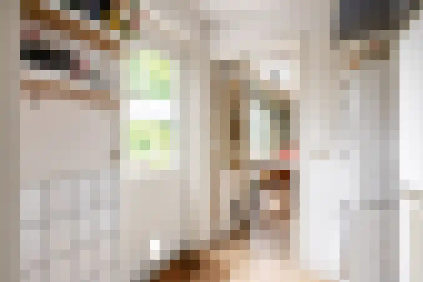 Akkemaweg 3 Stitswerd thumbnail 21