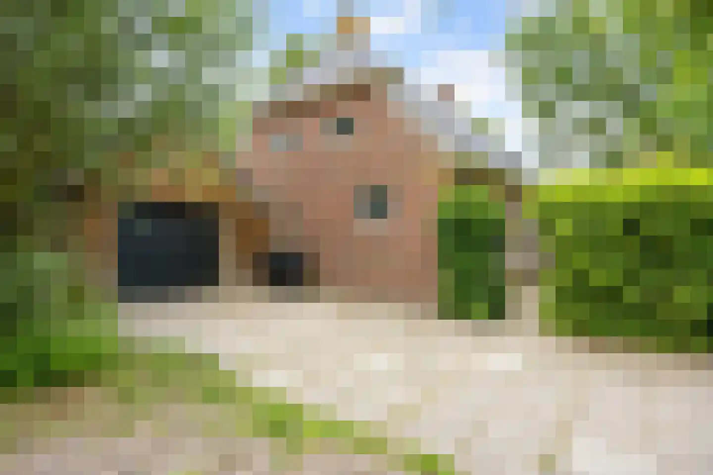 Akkemaweg 3 Stitswerd foto 3