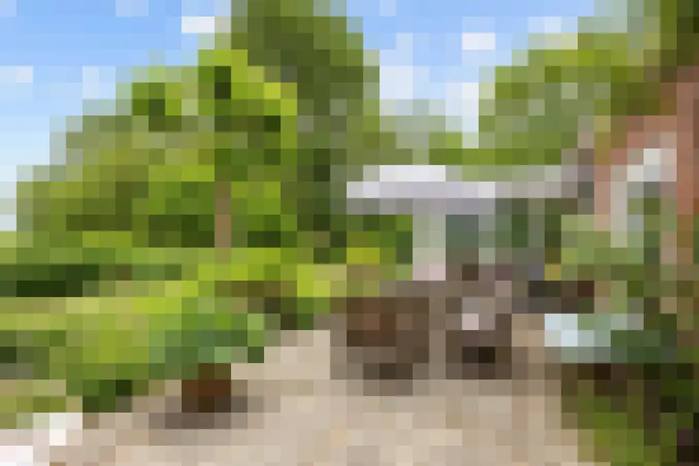 Akkemaweg 3 Stitswerd thumbnail 32