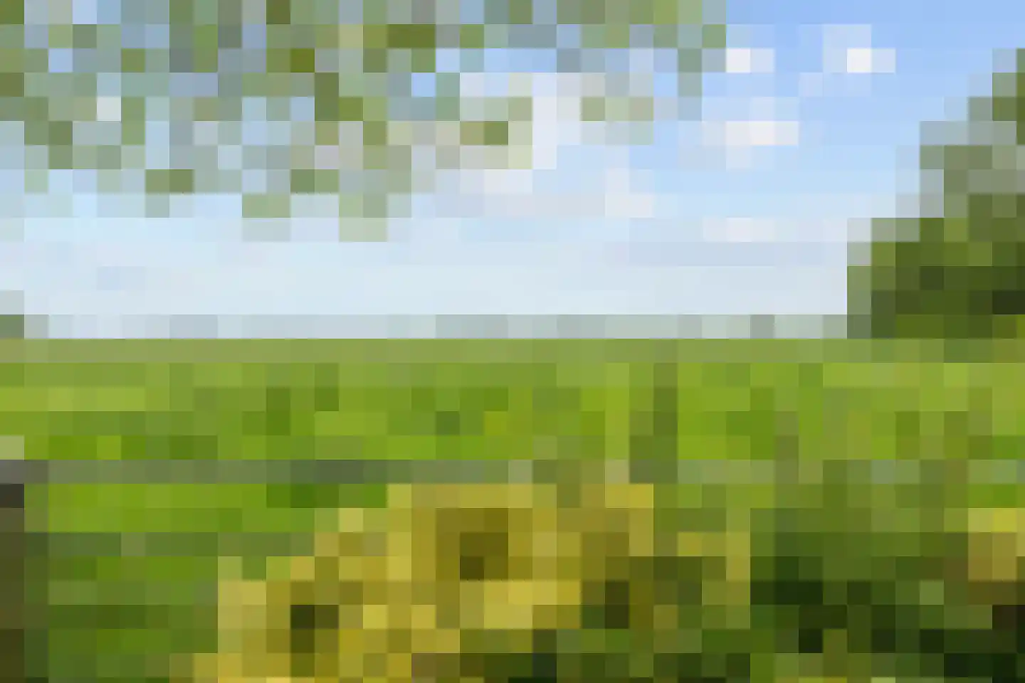 Akkemaweg 3 Stitswerd thumbnail 39