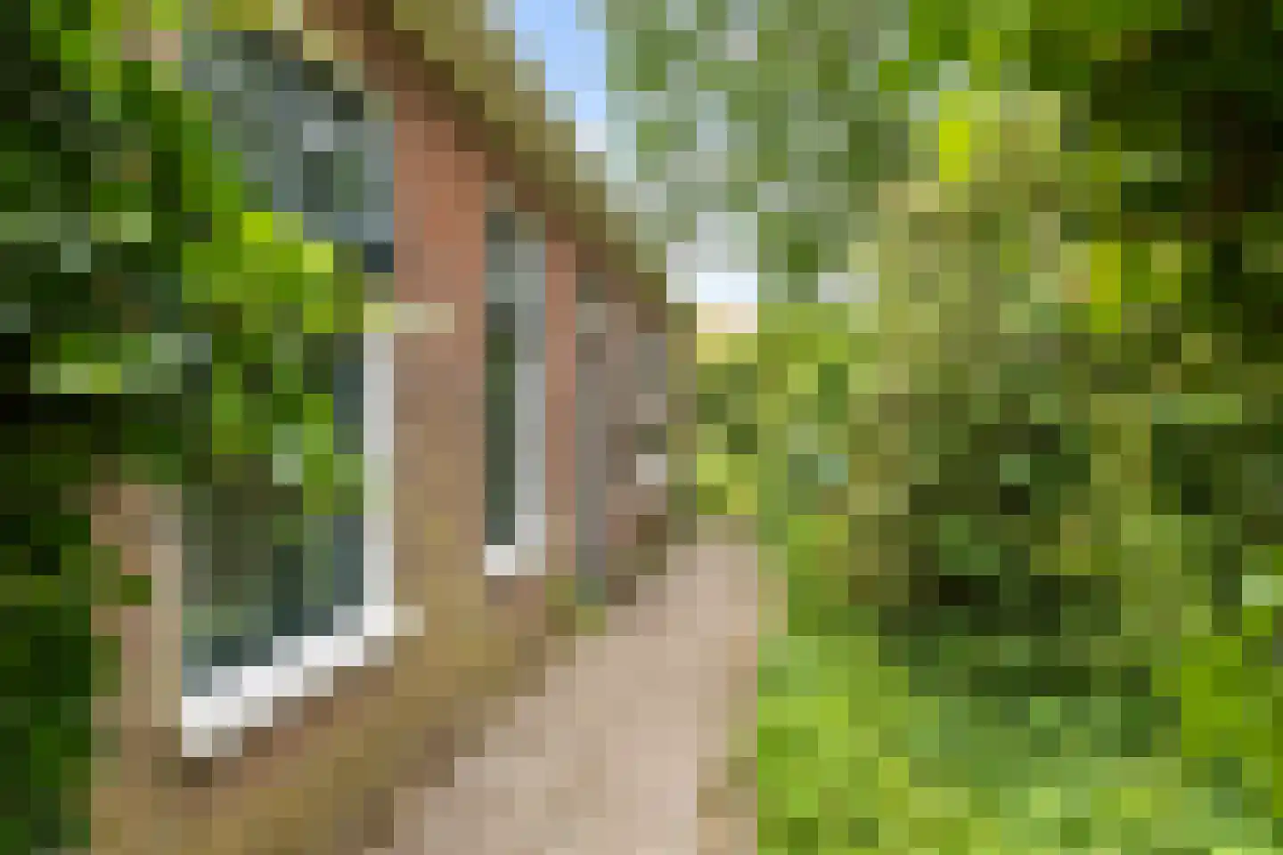 Akkemaweg 3 Stitswerd thumbnail 4