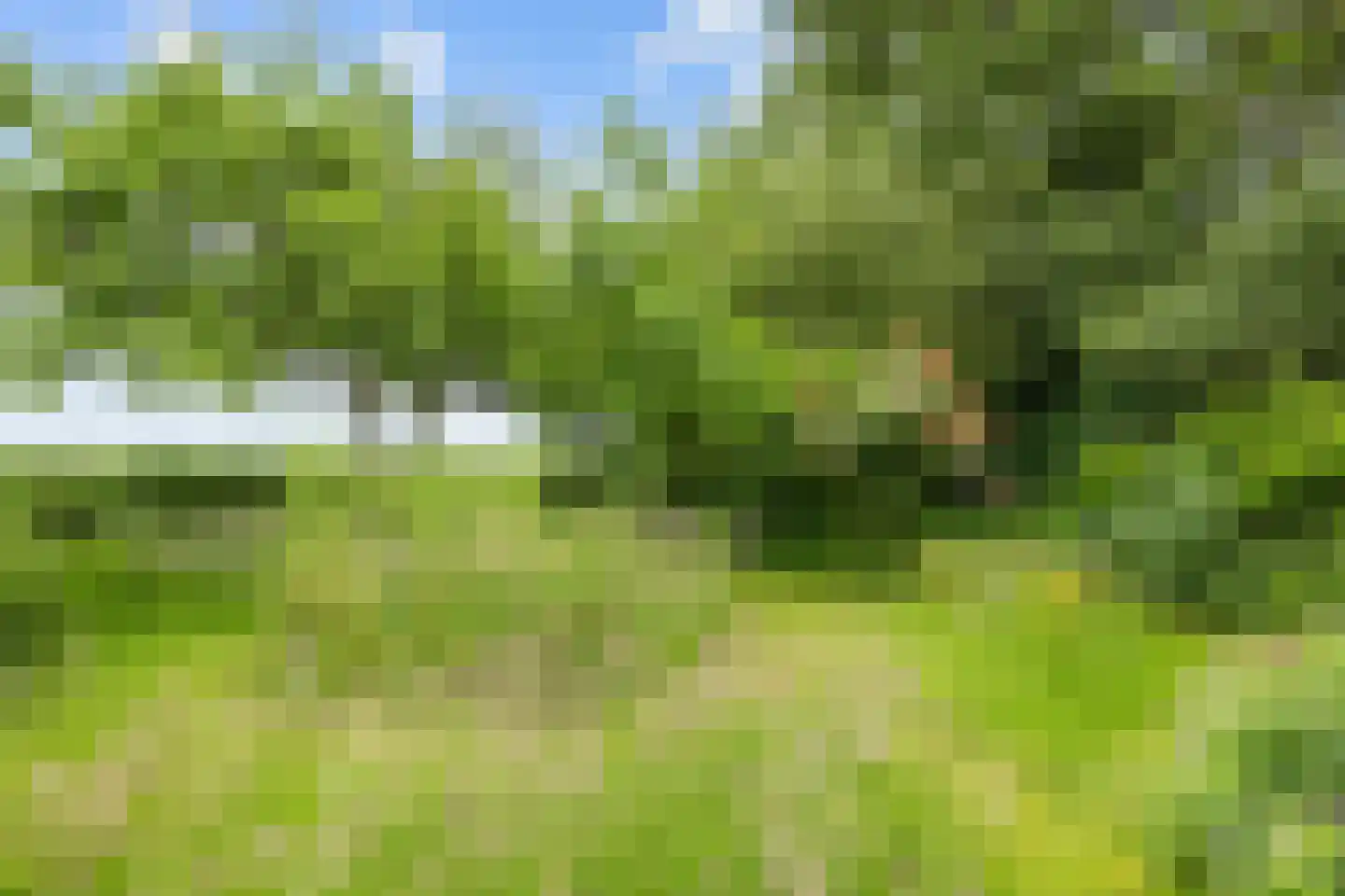 Akkemaweg 3 Stitswerd thumbnail 42