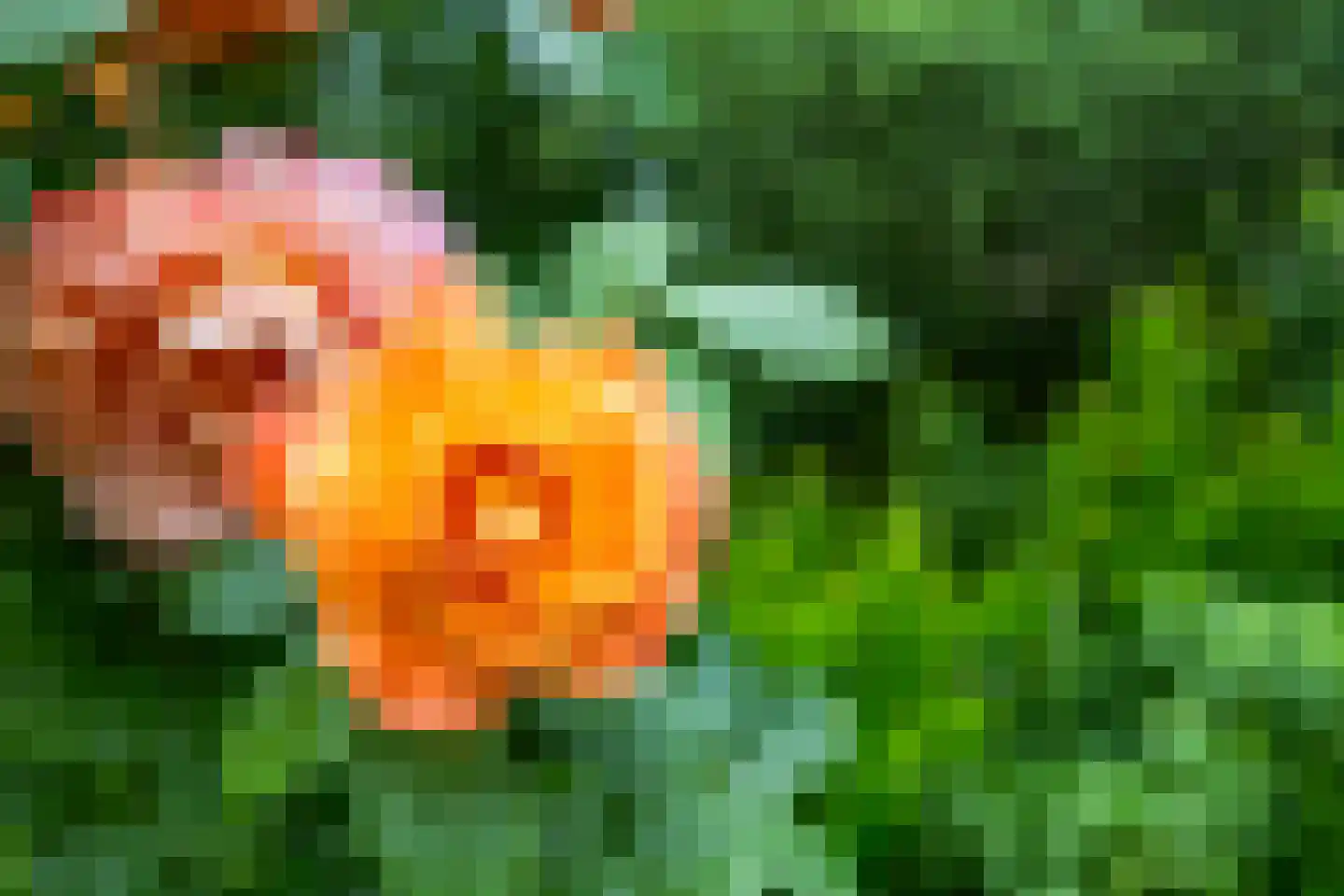 Akkemaweg 3 Stitswerd thumbnail 43