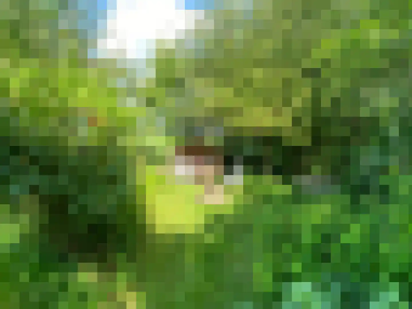 Akkemaweg 3 Stitswerd thumbnail 44