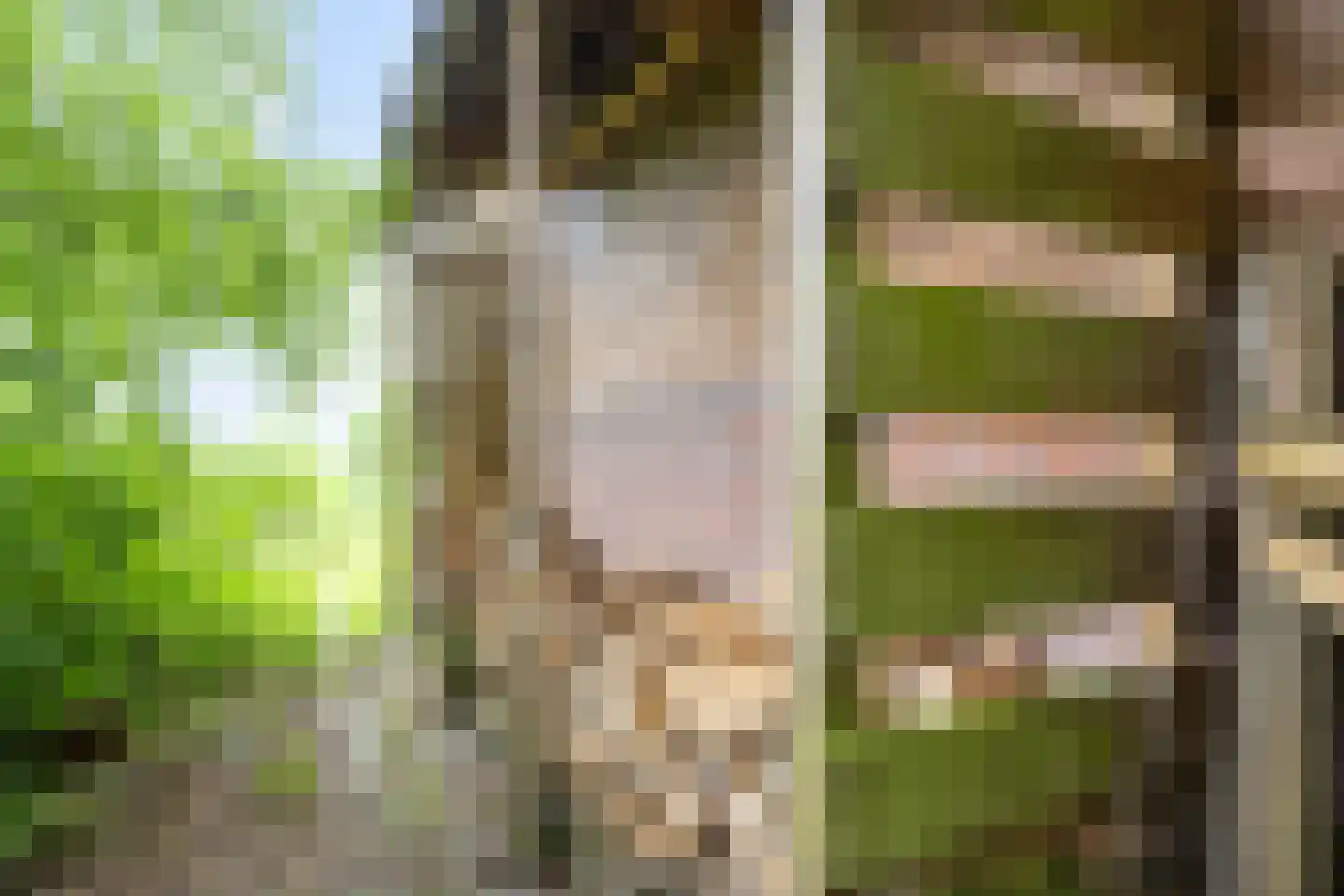 Akkemaweg 3 Stitswerd thumbnail 45