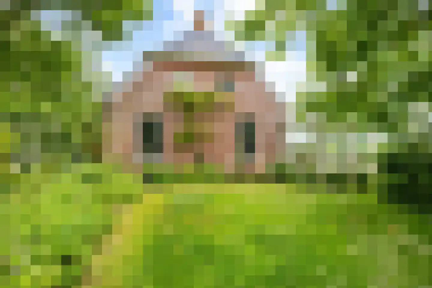 Akkemaweg 3 Stitswerd thumbnail 48