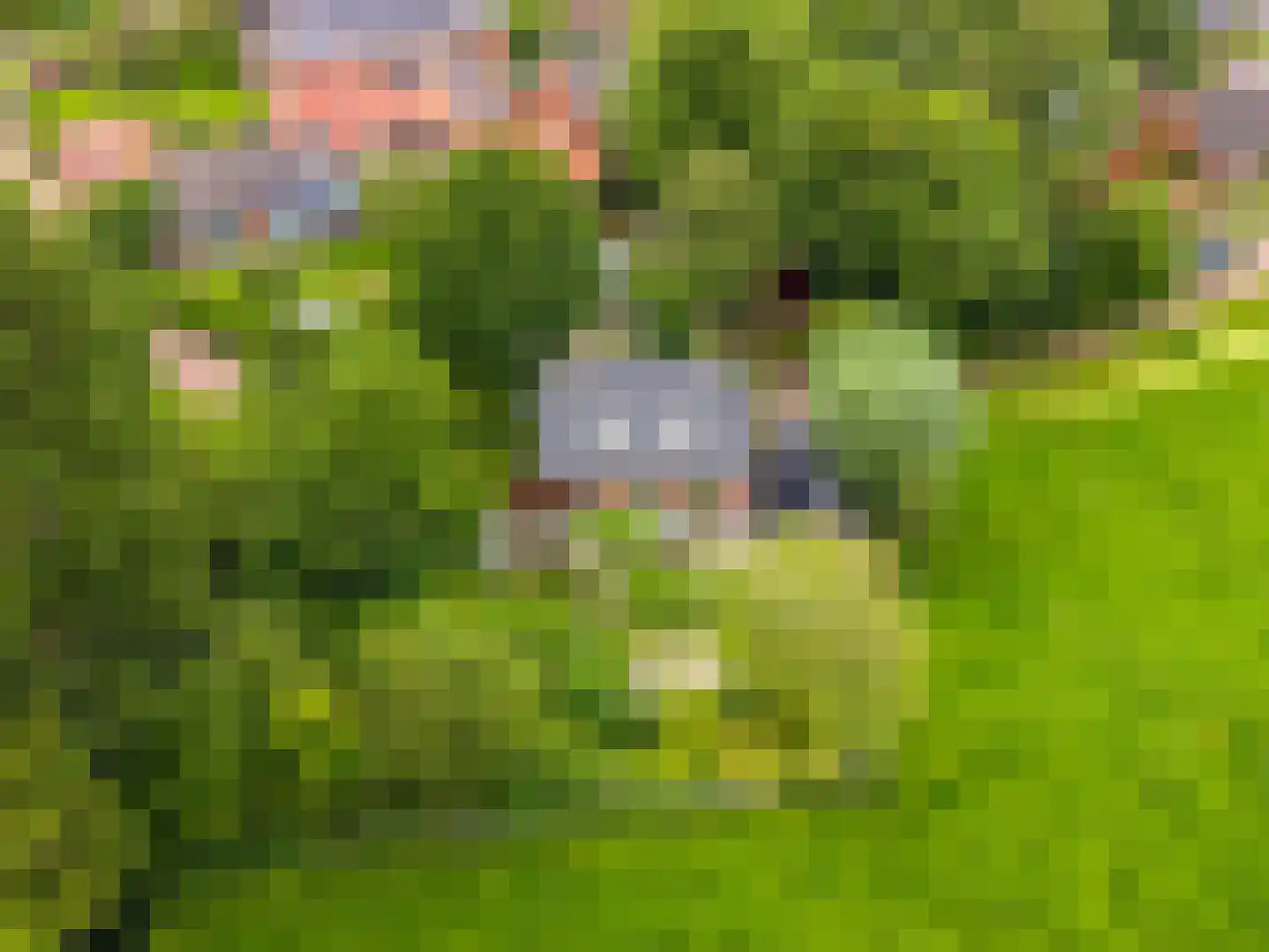 Akkemaweg 3 Stitswerd thumbnail 49