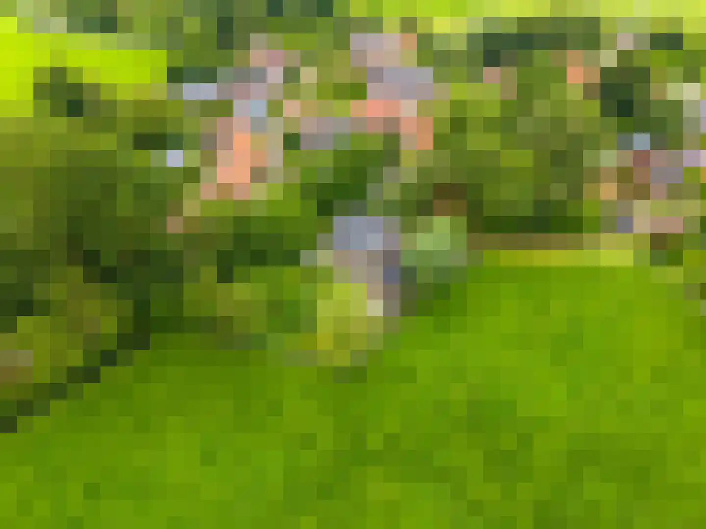 Akkemaweg 3 Stitswerd thumbnail 50